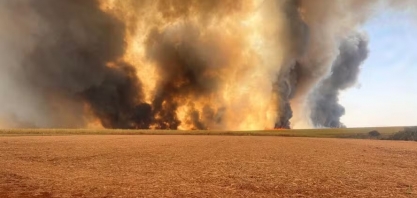 Açúcar sobe em Nova York influenciado por incêndios nos canaviais do Brasil
