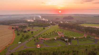 A Usina Santa Adélia utiliza o portal Power Insight para compartilhar dados da produção