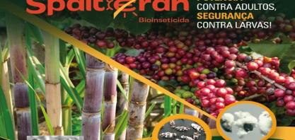 SPAITERAN Bioinseticida é o lançamento da Bionat para o controle do bicudo da cana-de-açúcar