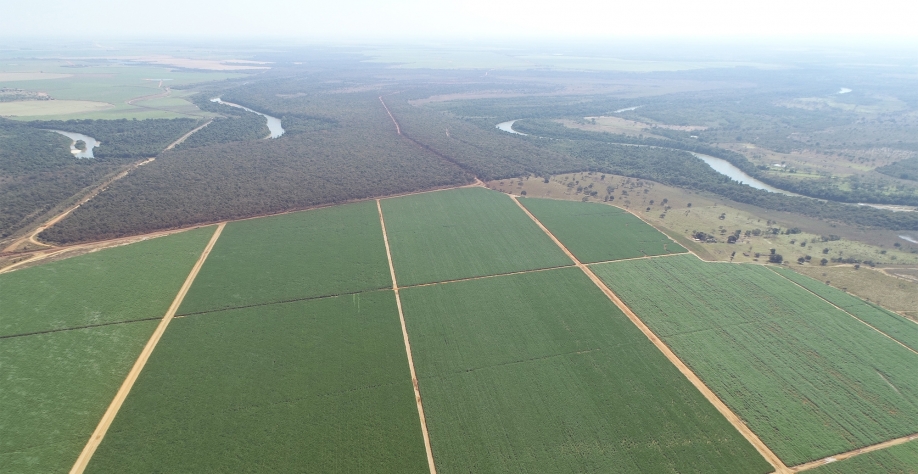 Se o produtor ou usina busca por redução de custos com aumento de produtividade e longevidade, o gotejamento é a escolha certa.  Foto: Divulgação Industrial Porto Rico S/A
