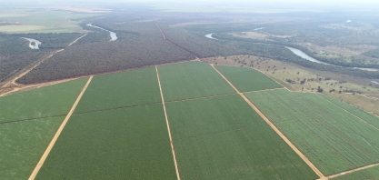 Áreas de Salvamento passam por mudanças e dão lugar à irrigação plena por gotejamento em canaviais nordestinos