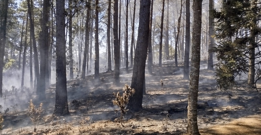 Foto: Governo do Estado de São Paulo
