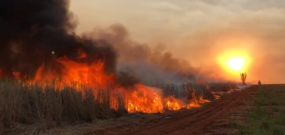Incêndio/Canaoeste: 658,6 mil hectares foram queimados em SP em agosto, metade em apenas 1 dia