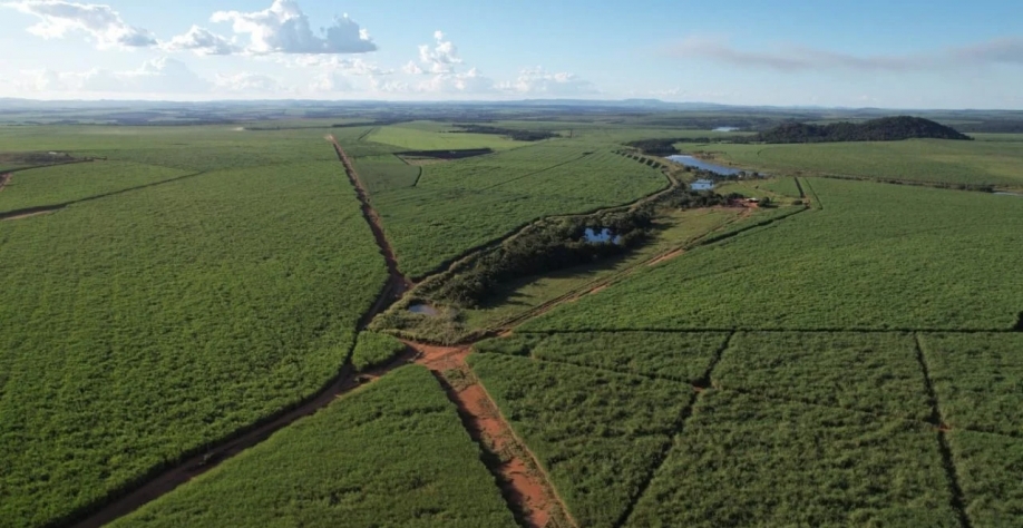 (Foto: Divulgação)