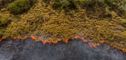 Incêndios causaram prejuízos de R$ 14,7 bilhões ao agro