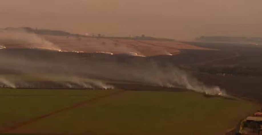 Executivos da Canaoeste e Orplana rejeitam a retomada da queima controlada, uma das propostas em estudo na Faesp — Foto: Canaoeste