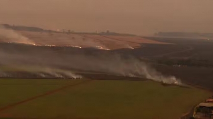 Incêndios já causaram prejuízos de mais de R$ 1,5 bilhão a produtores de cana