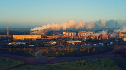 Cocal está entre as maiores empresas do Brasil na 24ª edição do Valor 1000