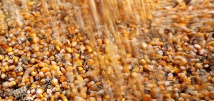 Inpasa investirá R$ 1,2 bilhão em usina de etanol de milho na Bahia