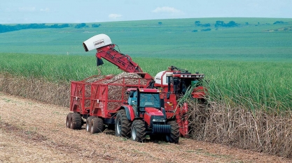 Etanol em foco: o biocombustível que está transformando Minas e o Brasil