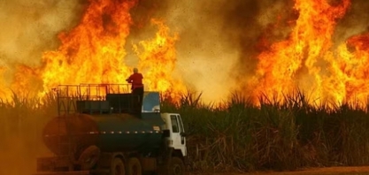 Sindalcool-PB busca parceria com Corpo de Bombeiros para prevenção de incêndios em áreas de cana-de-açúcar na Paraíba