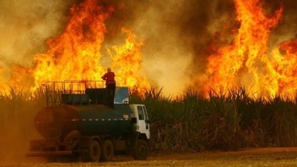Sindalcool-PB busca parceria com Corpo de Bombeiros para prevenção de incêndios em áreas de cana-de-açúcar na Paraíba