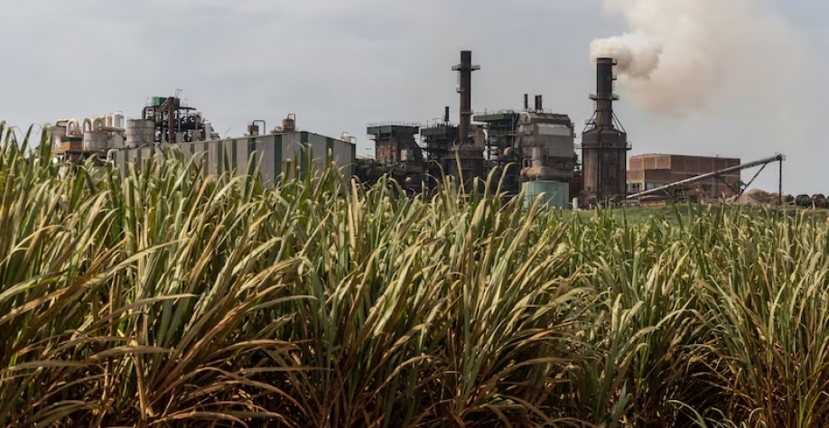 Como a lei do Combustível do Futuro impulsiona a demanda por cana-de-açúcar e soja |Mistura de 30% na gasolina deve elevar a demanda de etanol em 1,3 bilhão de litros por ano, de acordo com a consultoria agrícola Datagro. (Photographer: Jonne Roriz/Bloomb