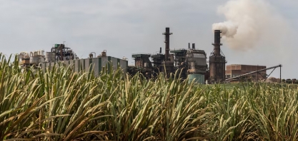Como a lei do ‘Combustível do Futuro’ aumenta a demanda por cana-de-açúcar e soja