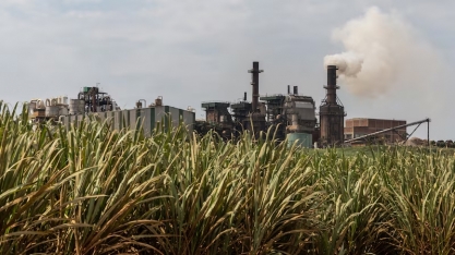 Como a lei do ‘Combustível do Futuro’ aumenta a demanda por cana-de-açúcar e soja