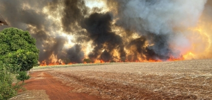 Queimadas de agosto tiveram um aumento de 780% em relação ao ano passado
