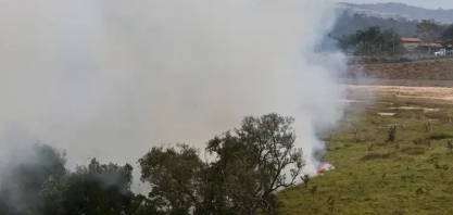 Queimadas em São Paulo reduzem produtividade dos canaviais em 10 toneladas por hectare, diz pesquisa