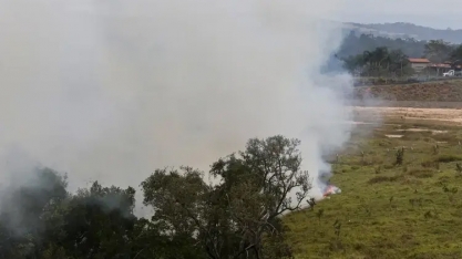Queimadas em São Paulo reduzem produtividade dos canaviais em 10 toneladas por hectare, diz pesquisa