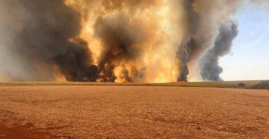 Incêndio de grandes proporções destrói canaviais em São Paulo — Foto: Canaoeste/Divulgação 