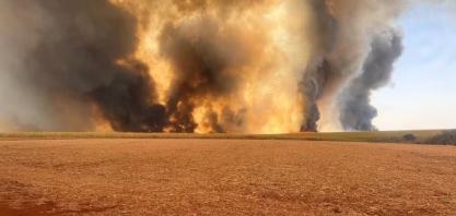Incêndios em canaviais de SP deixam prejuízos de R$ 800 milhões