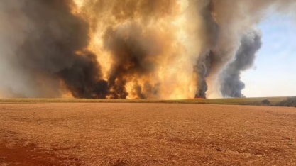 Incêndios em canaviais de SP deixam prejuízos de R$ 800 milhões