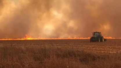 DOI Resolução da Secretaria de Agricultura de SP agiliza auxílio a produtores rurais atingidos por incêndios