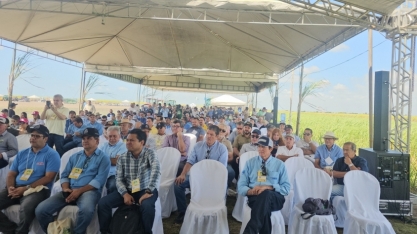 Setor Canavieiro nordestino é especialista em irrigação em cana, e tudo começou com a Netafim em Alagoas