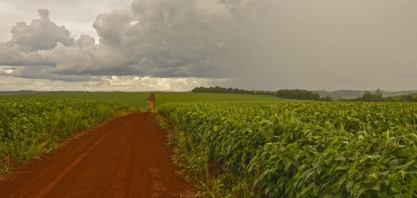 Próximos 15 dias indicam chances de chuvas no Sul, parte do Sudeste e Centro-Oeste e algumas áreas do Matopiba – Rural Clima