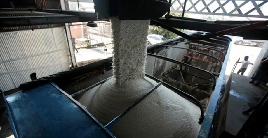 Incerteza com a oferta global levou o preço do açúcar a subir mais de 2% em Nova York — Foto: Globo Rural