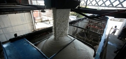 Açúcar volta a subir e fecha a 22 cents por libra em Nova York; café caiu