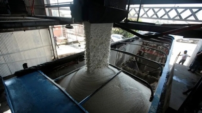 Açúcar volta a subir e fecha a 22 cents por libra em Nova York; café caiu