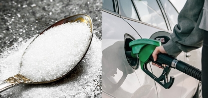 Açúcar branco e etanol iniciam a semana em baixa dentro e fora do Brasil