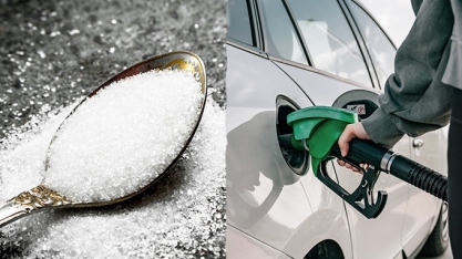 Açúcar branco e etanol iniciam a semana em baixa dentro e fora do Brasil