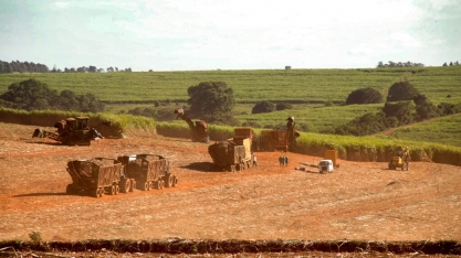 Combustíveis do futuro abrem oportunidades para a agropecuária