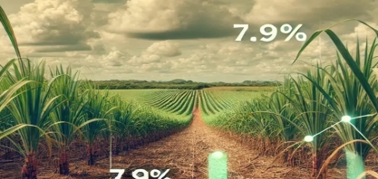Produtividade da Cana-de-Açúcar em Mato Grosso do Sul cai 7,9% na safra