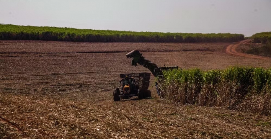 A São Manoel criou programas para beneficiar a população do entorno, conta o administrador Diego de Oliveira — Foto: Ricardo Benichio