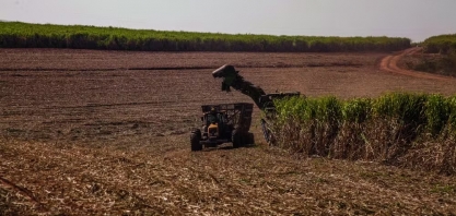 Programas ambientais são o 'cartão de visitas' de fazenda de cana-de-açúcar