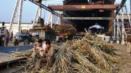 Brasil e Índia debatem avanços na cooperação em biocombustíveis