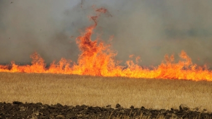 O que acontece quando o fogo atinge o solo de uma lavoura? ‘Pode levar 3 anos para recuperar’
