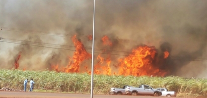 Incêndio atinge região de Igarapava, nesta quarta-feira, e propriedades rurais foram 100% queimadas, até casas