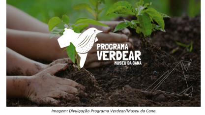 Iniciativa une educação ambiental e cultura para alunos de escola pública municipal de Pontal, na região de Ribeirão Preto (SP)