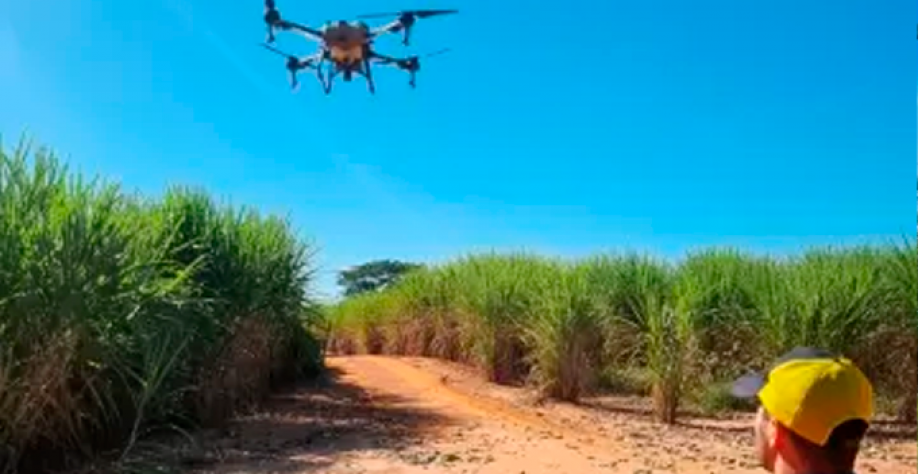 Adrien Michelmann atua há três anos como piloto de drone para uma usina no interior de São Paulo. Imagem: Arquivo Pessoal