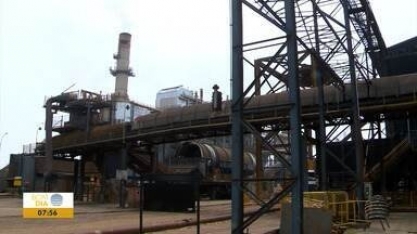 Estiagem impacta cultivo da cana-de-açúcar no Oeste Paulista