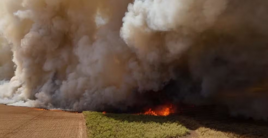 Incêndio em canavial na região de Ribeirão Preto (SP) — Foto: Reprodução/EPTV