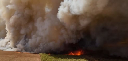 Produtores de cana refutam acusações de benefício com fogo em lavouras: 'Não faz sentido', diz diretor da Canaoeste