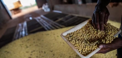 Industrialização da soja recebe investimentos de R$ 5,7 bilhões