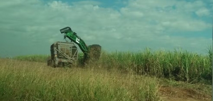 Tempo seco e queimadas fazem preço do etanol cair e exportação de açúcar remunerar mais que mercado doméstico, aponta USP