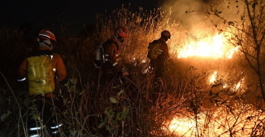 Produtores rurais de MS contabilizam prejuízos de R$ 1,2 bilhão com queimadas - Foto: Bruno Rezende/ SEGOV