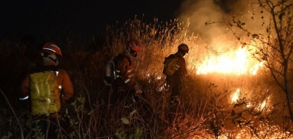 Produtores rurais de MS contabilizam prejuízos de R$ 1,2 bilhão com queimadas