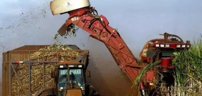 Produção de cana em MS pode cair 20% com mudanças climáticas